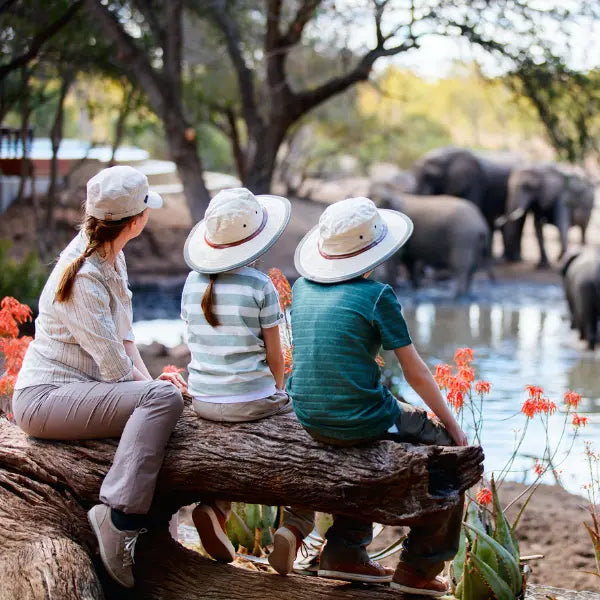 5 Ways To Celebrate World Wildlife Day With Your Child My TickTalk